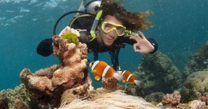 cairns package deal australia great barrier reef east coast backpacker