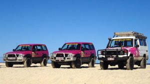 dingo tour fraser island overnight campering 2 day 1 night east coast australia backpacker