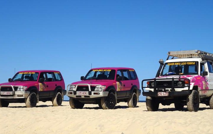 dingo tour fraser island overnight campering 2 day 1 night east coast australia backpacker