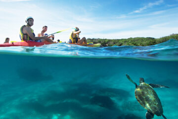 go sea kayak byron bay tours australia backpacker