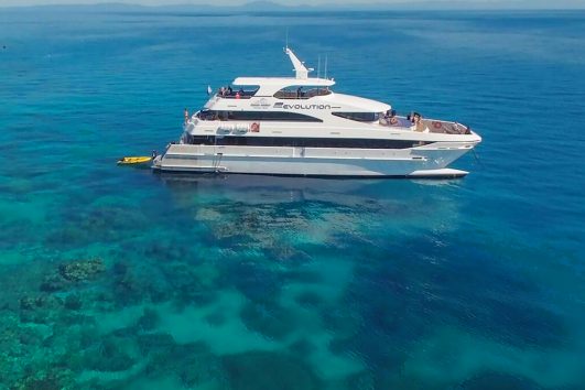 great barrier reef snorkel tour cairns evolution down under and dive