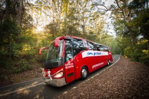 greyhound travel passes hop on hop off km austraia oz epic gap year-2