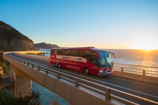 greyhound whimit bus pass australia backpacker east coast travel