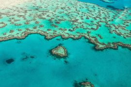 heart reef scenic flight great barrier reef airlie beach whitsundays australia