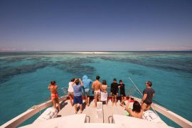 island diver great barrier reef trip intro dive cairns australia