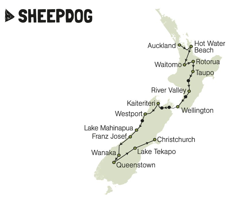 kiwi experience bus pass sheepdog new zealand