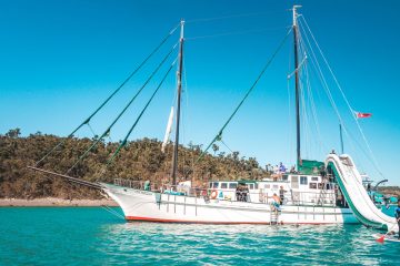 new horizon whitsundays sailing adventure australia backpacker airlie beach