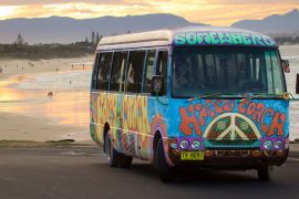 nimbin day trip happy coach byron bay australia