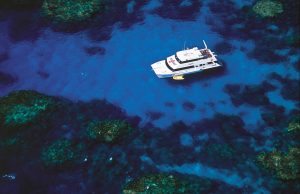 open water dive course live aboard great barrier reef cairns australia