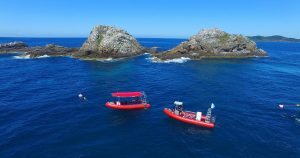 scuba dive in byron bay julian rocks australia padi ssi east coast