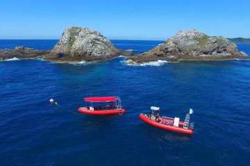 scuba dive in byron bay julian rocks australia padi ssi east coast