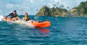 sea kayak byron bay cape byron kayaks dolphin australia backpacker