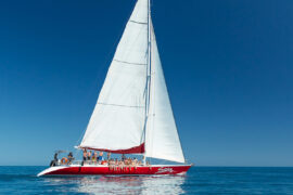 siska whitsundays sailing tour airlie beach 2 day 1 night rtw backpackers australia