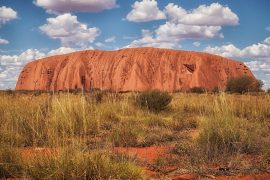 uluru day tour from alice springs emu run red centre