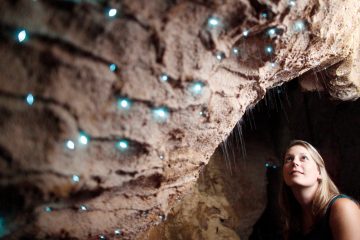 waitomo glowworm cave tour new zealand north island