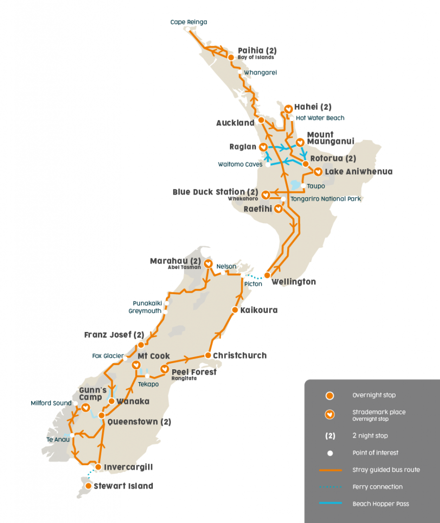 stray New Zealand everywhere bus pass freestyle hop on hop off north island South Island nz backpacker