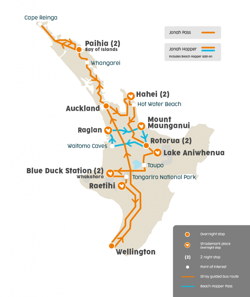 stray new zealand jonah pass north island hop on hop off nz kiwi auckland